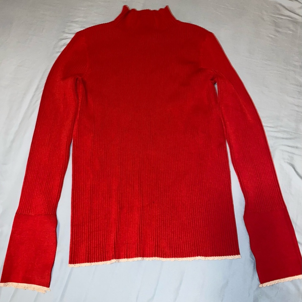 Zara Turtleneck Sweater